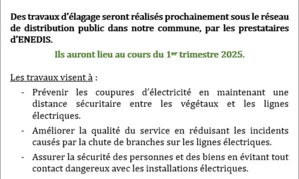 BUSIGNY TRAVAUX D'ELAGAGE SOUS LE RESEAU ELECTRIQUE